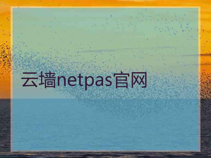 云墙netpas官网