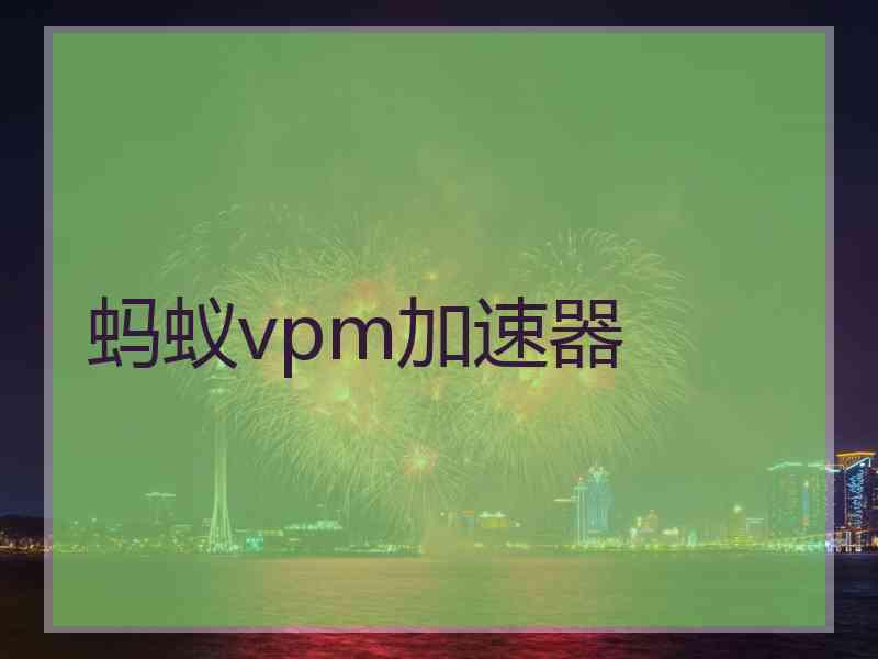 蚂蚁vpm加速器