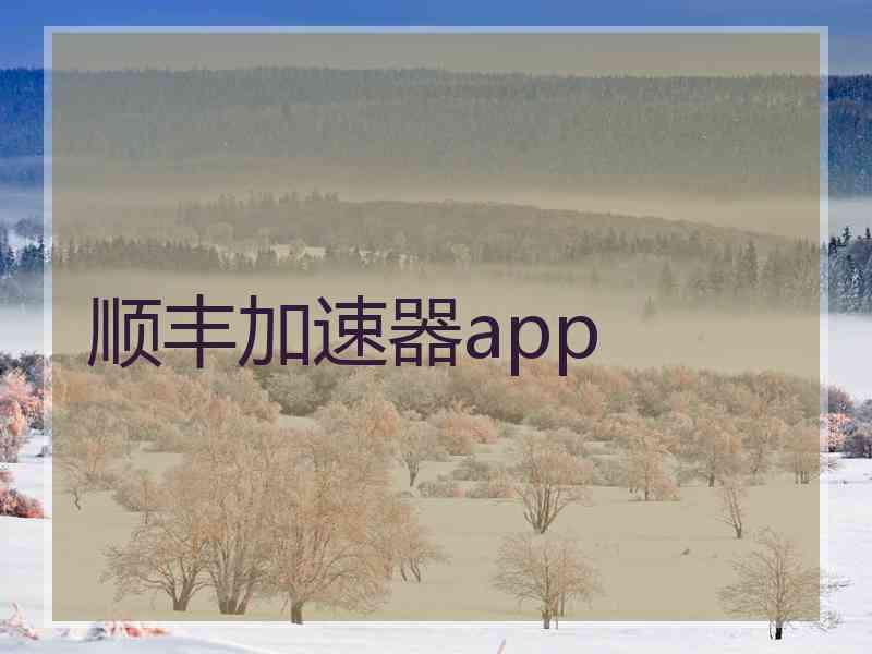 顺丰加速器app