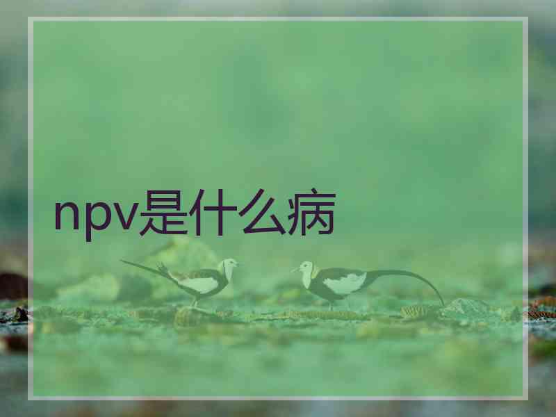 npv是什么病