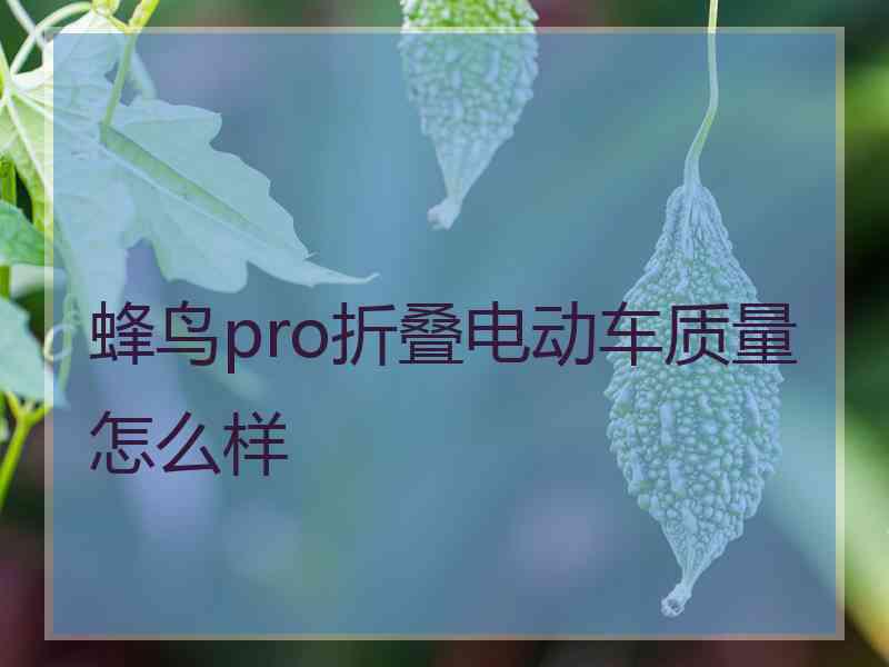 蜂鸟pro折叠电动车质量怎么样