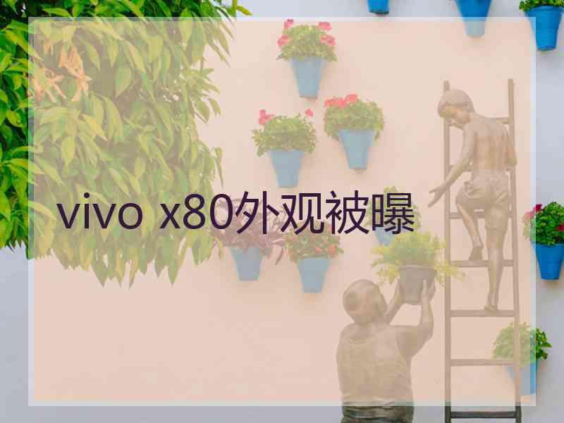 vivo x80外观被曝