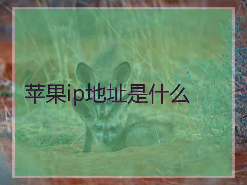 苹果ip地址是什么