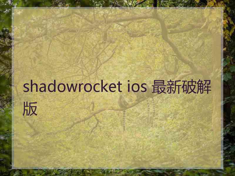 shadowrocket ios 最新破解版