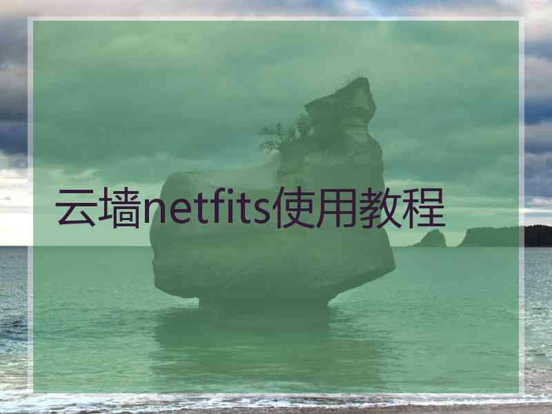 云墙netfits使用教程