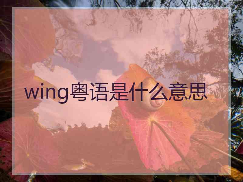 wing粤语是什么意思