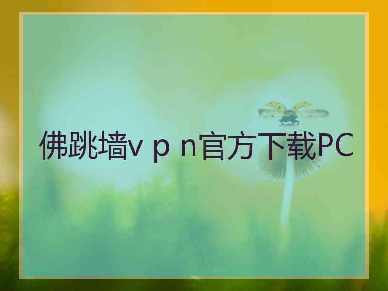 佛跳墙v p n官方下载PC