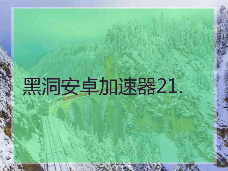 黑洞安卓加速器21.