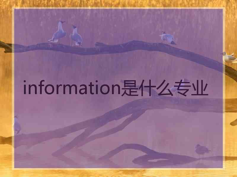 information是什么专业