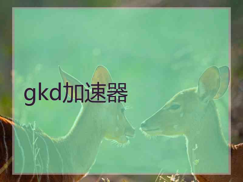 gkd加速器