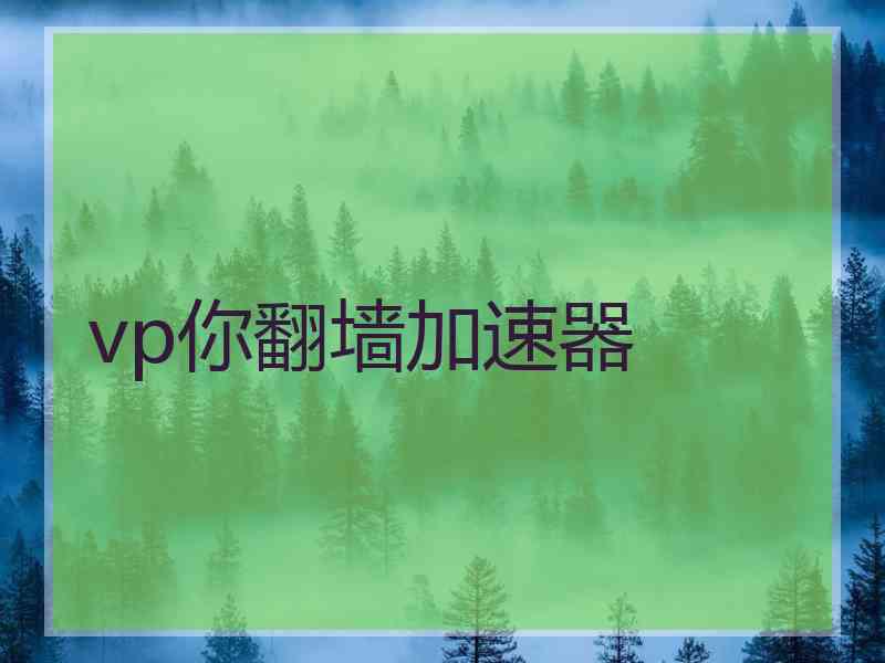 vp你翻墙加速器