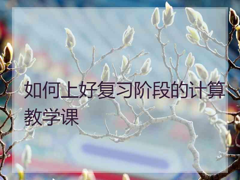 如何上好复习阶段的计算教学课