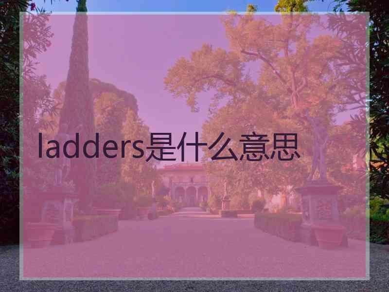 ladders是什么意思