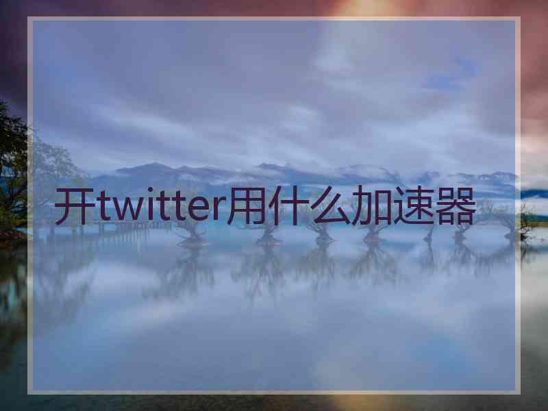 开twitter用什么加速器