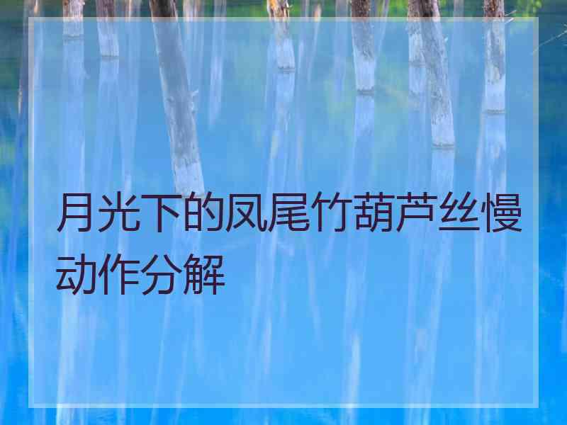 月光下的凤尾竹葫芦丝慢动作分解