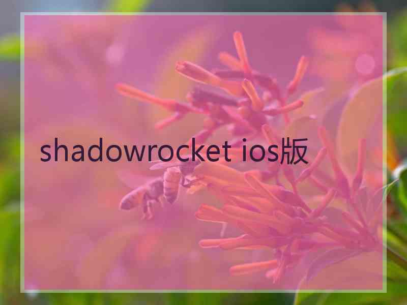 shadowrocket ios版