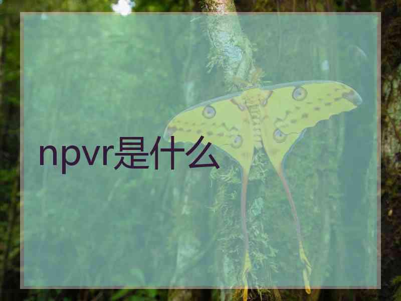 npvr是什么