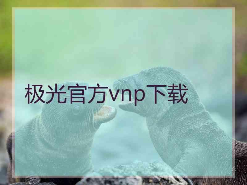 极光官方vnp下载