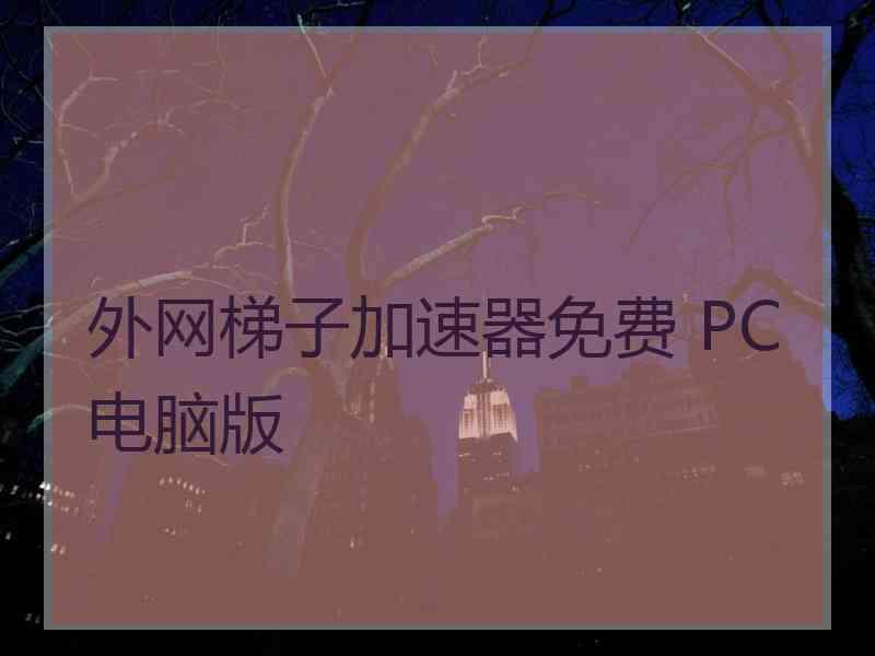 外网梯子加速器免费 PC电脑版