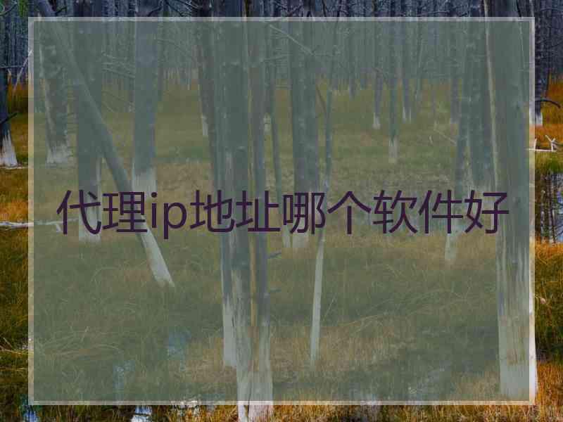 代理ip地址哪个软件好