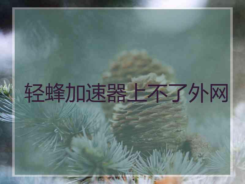 轻蜂加速器上不了外网