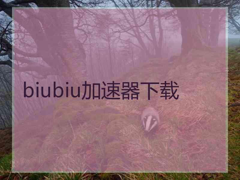 biubiu加速器下载