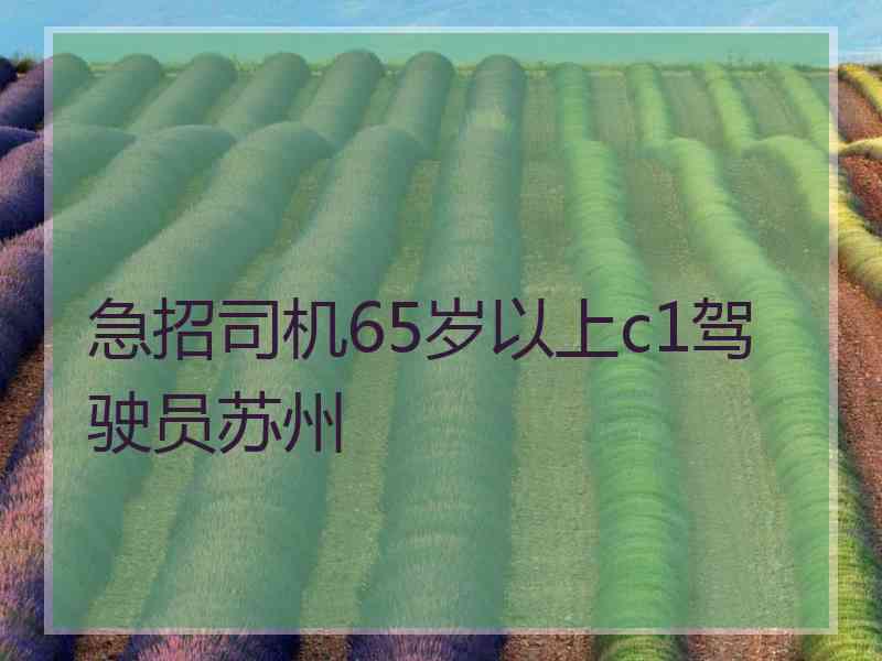 急招司机65岁以上c1驾驶员苏州