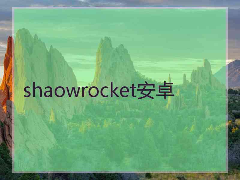 shaowrocket安卓