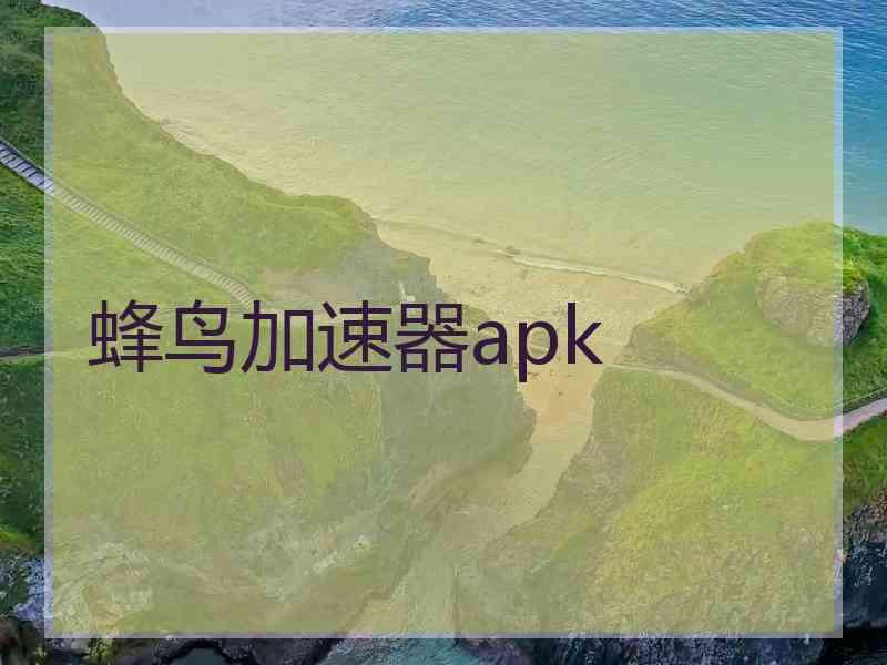 蜂鸟加速器apk