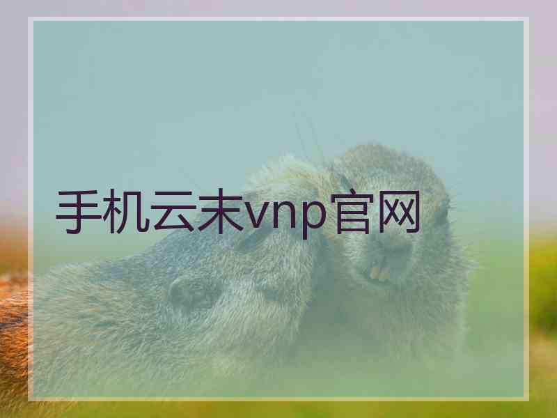 手机云末vnp官网