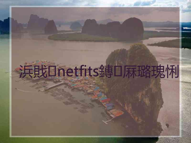 浜戝netfits鏄厤璐瑰悧