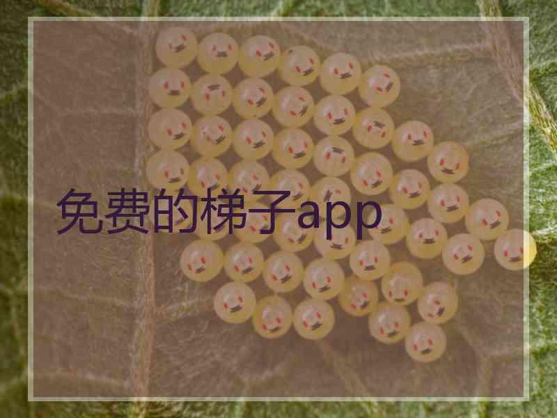 免费的梯子app