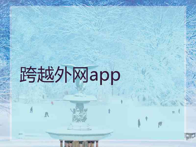 跨越外网app