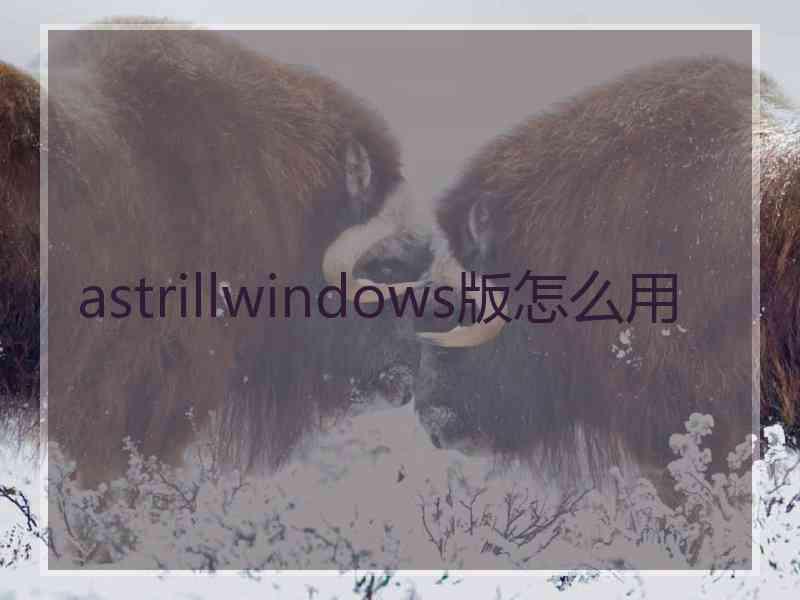 astrillwindows版怎么用