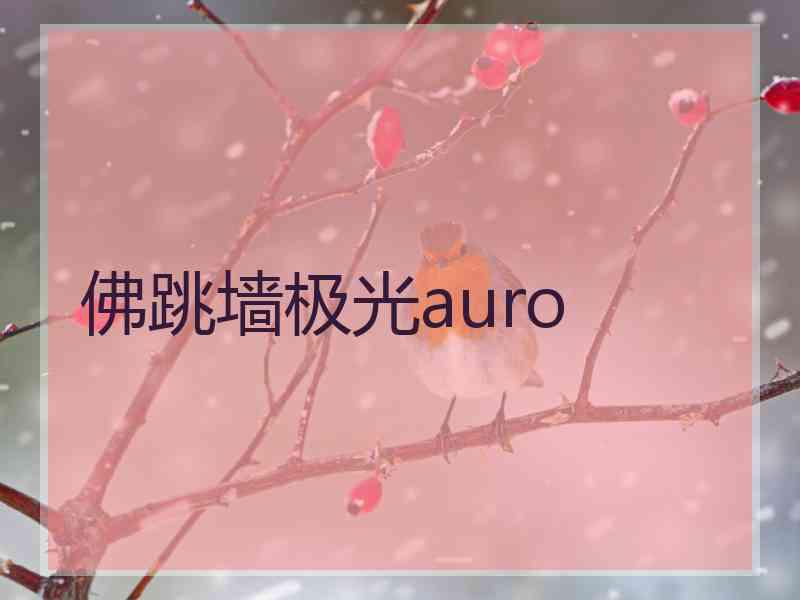 佛跳墙极光auro