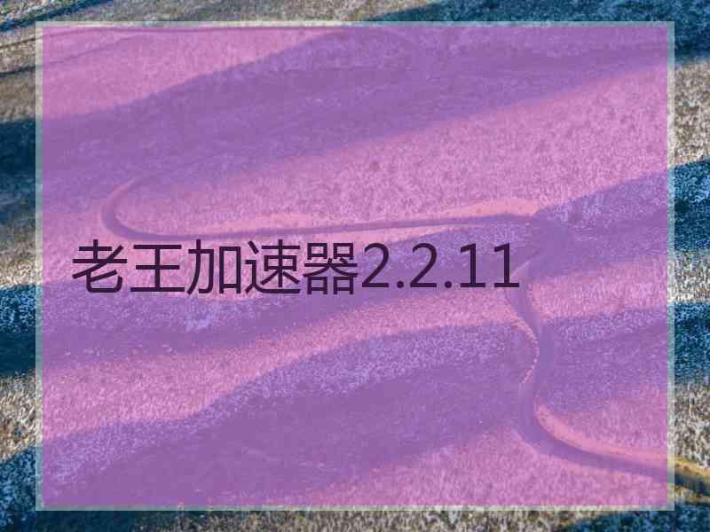 老王加速器2.2.11