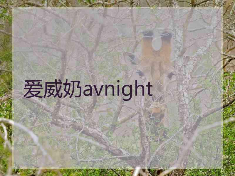 爱威奶avnight