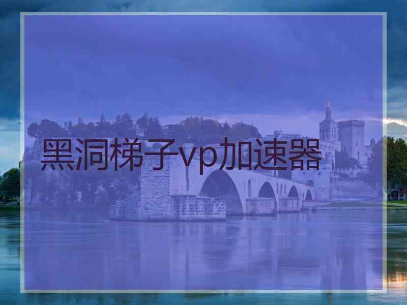 黑洞梯子vp加速器