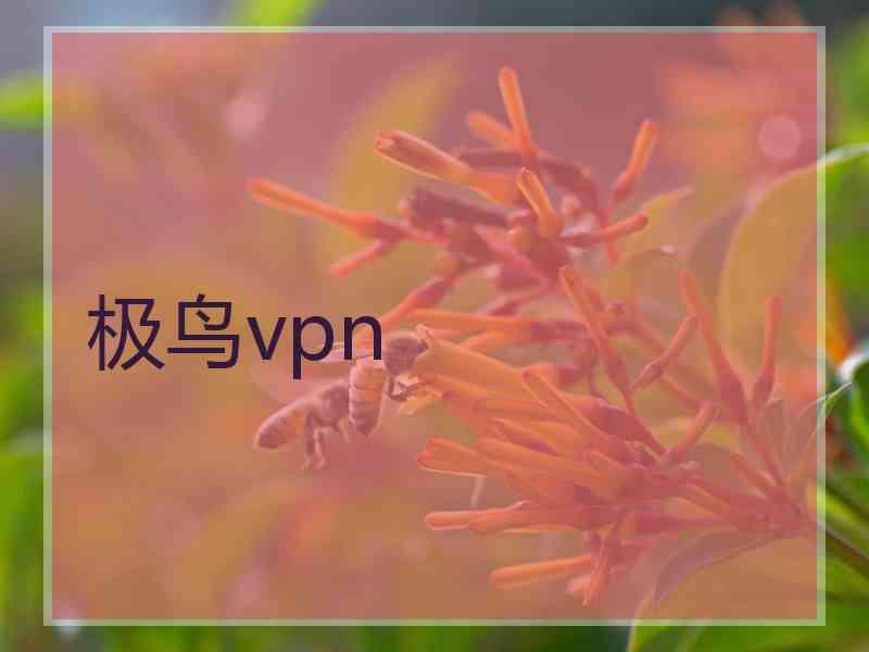 极鸟vpn