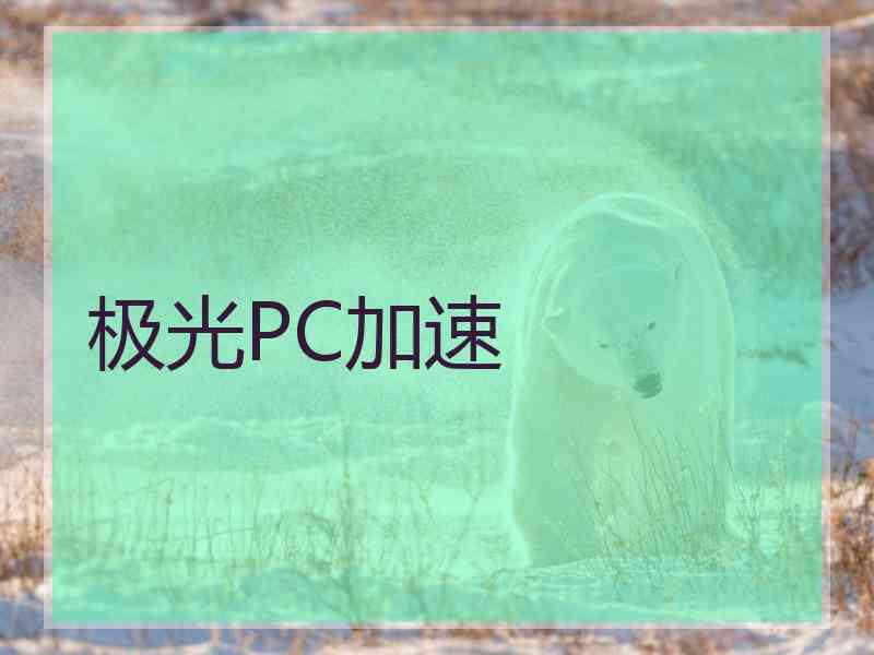 极光PC加速