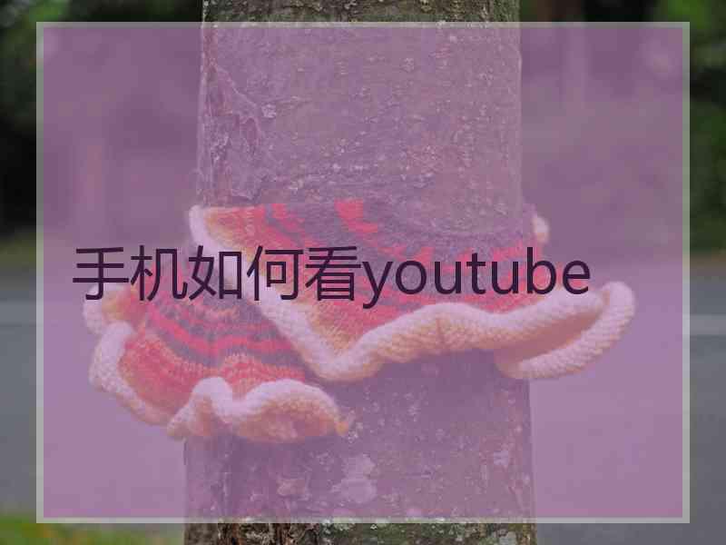 手机如何看youtube