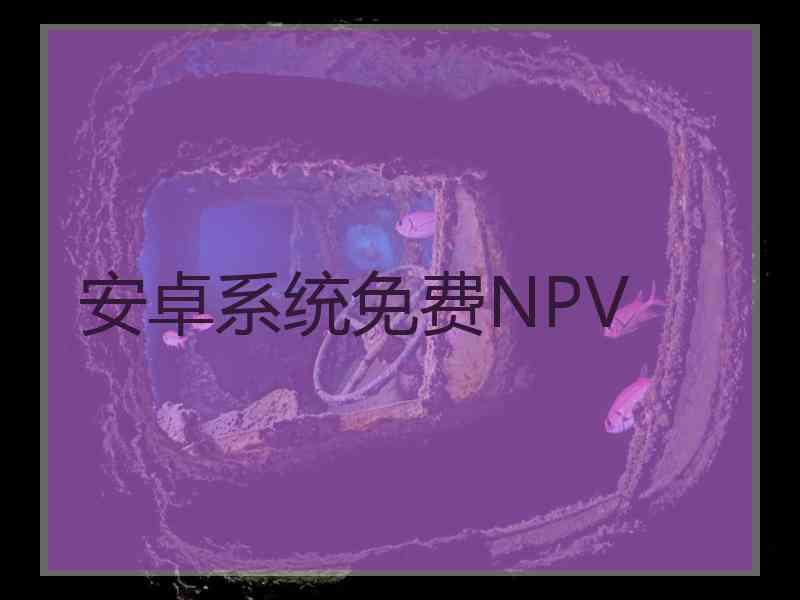 安卓系统免费NPV