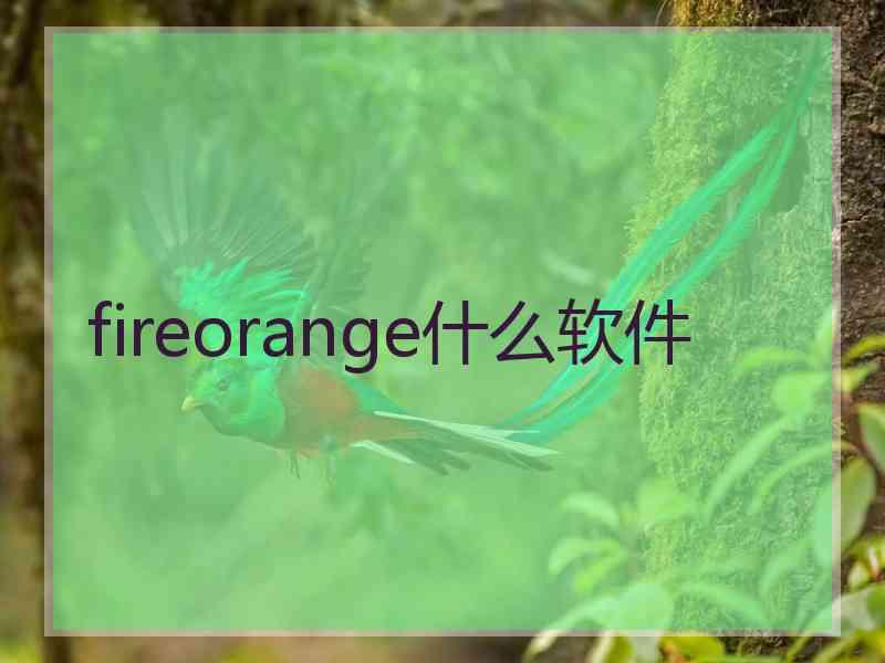 fireorange什么软件