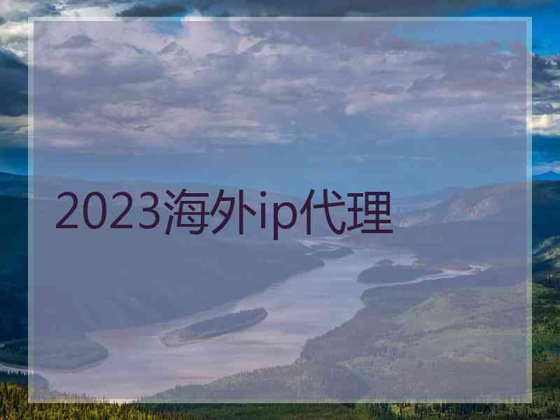 2023海外ip代理