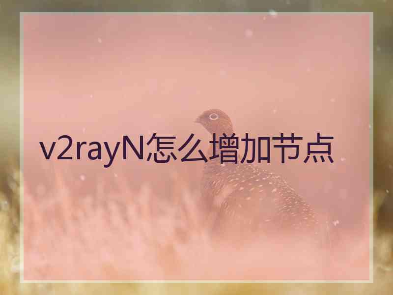 v2rayN怎么增加节点