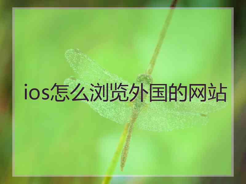 ios怎么浏览外国的网站