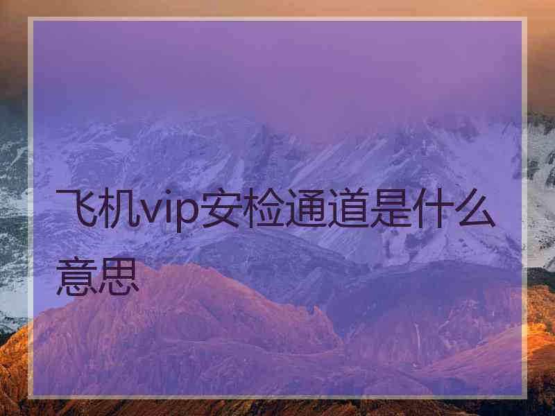 飞机vip安检通道是什么意思