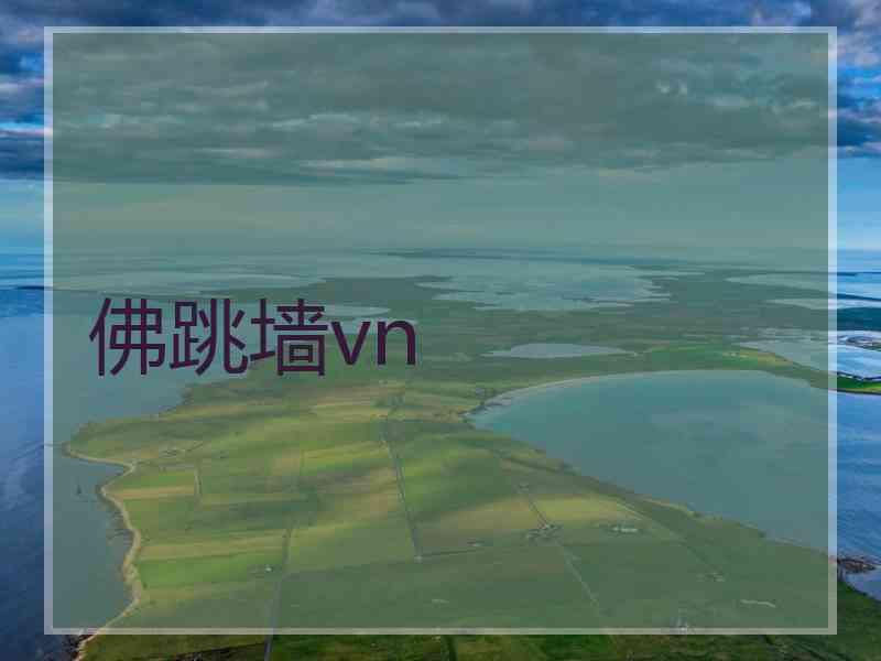 佛跳墙vn