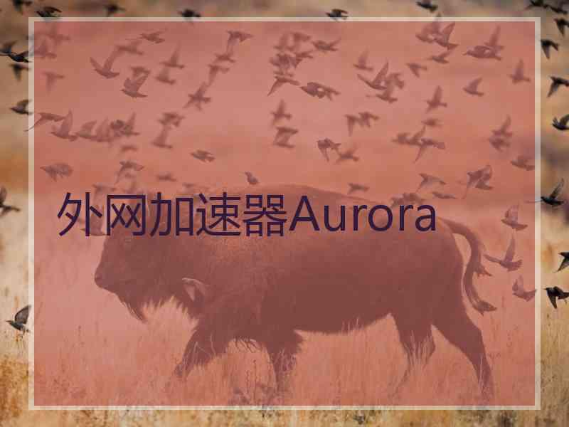 外网加速器Aurora