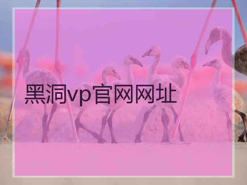 黑洞vp官网网址